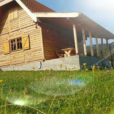 Brvnara Tara Villa Баина Баща Екстериор снимка