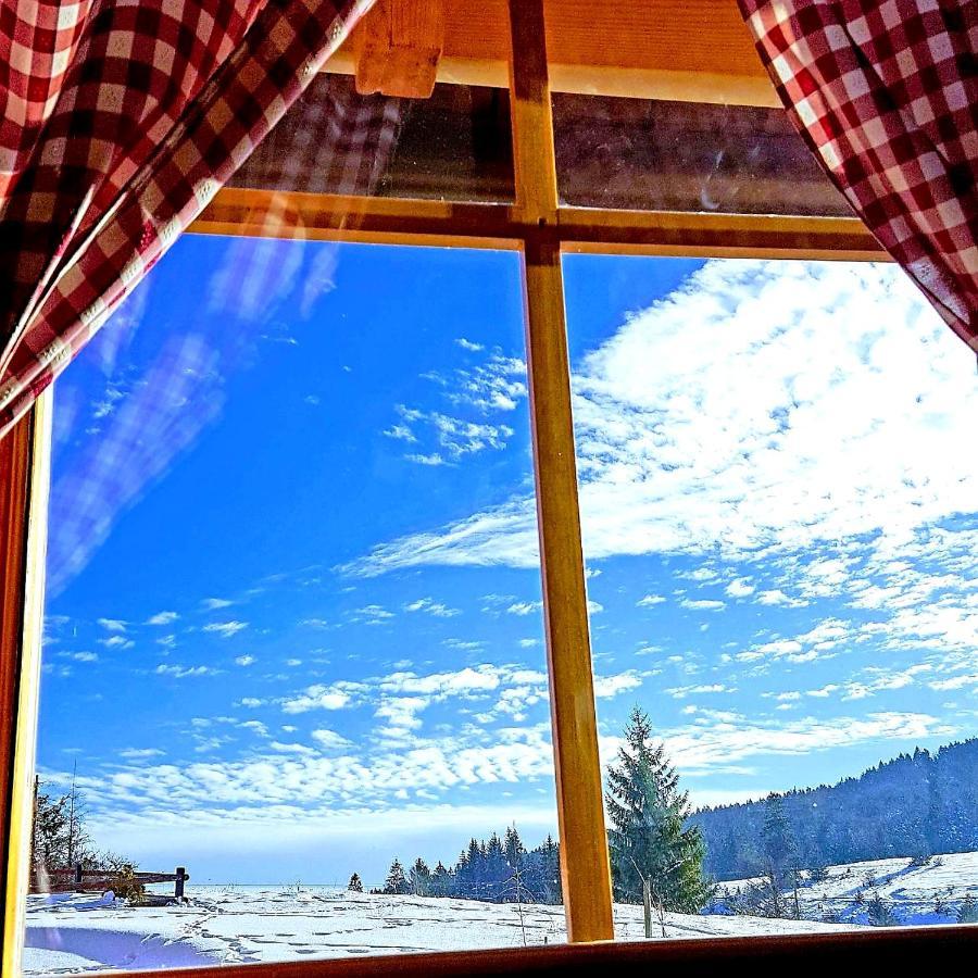 Brvnara Tara Villa Баина Баща Екстериор снимка